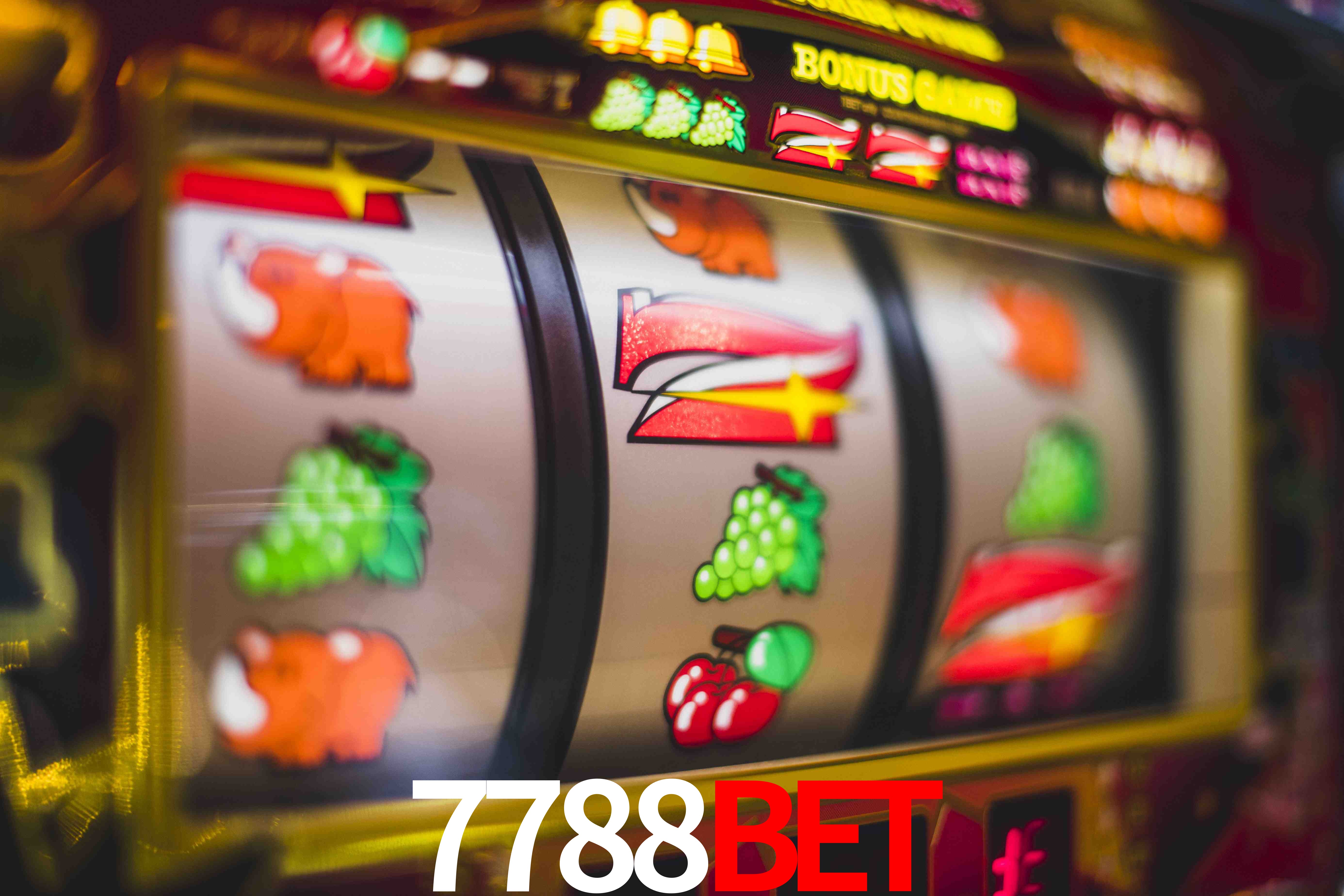 Live Casino 7788bet